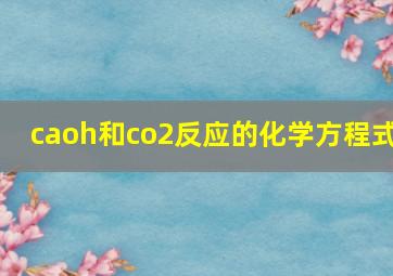 caoh和co2反应的化学方程式