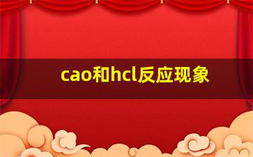 cao和hcl反应现象