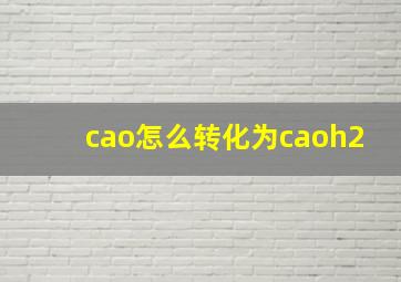 cao怎么转化为caoh2