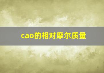 cao的相对摩尔质量