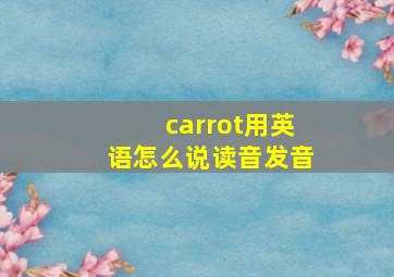 carrot用英语怎么说读音发音