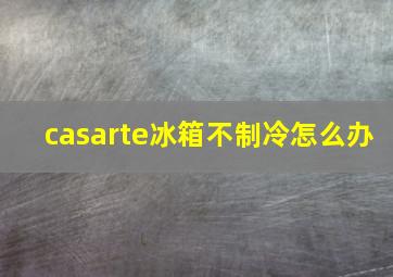 casarte冰箱不制冷怎么办