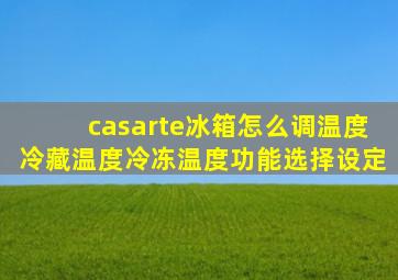 casarte冰箱怎么调温度冷藏温度冷冻温度功能选择设定