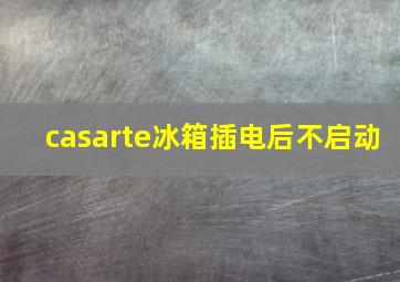 casarte冰箱插电后不启动