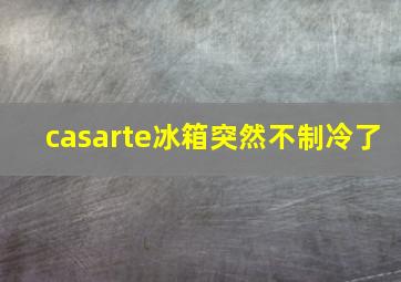 casarte冰箱突然不制冷了