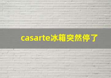 casarte冰箱突然停了