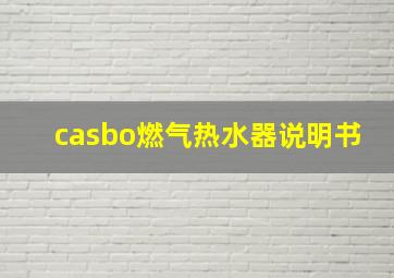 casbo燃气热水器说明书