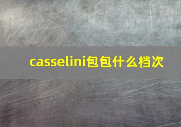 casselini包包什么档次