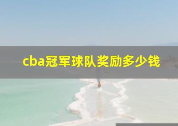 cba冠军球队奖励多少钱