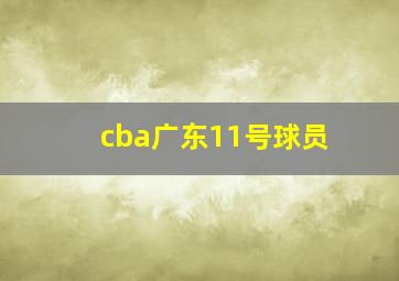 cba广东11号球员