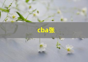 cba张