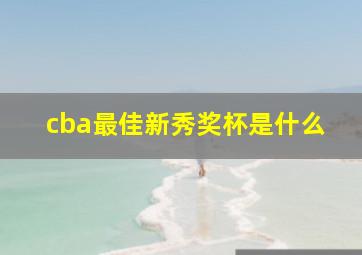 cba最佳新秀奖杯是什么