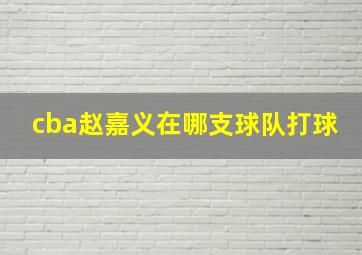 cba赵嘉义在哪支球队打球