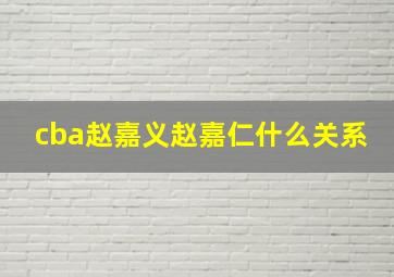 cba赵嘉义赵嘉仁什么关系