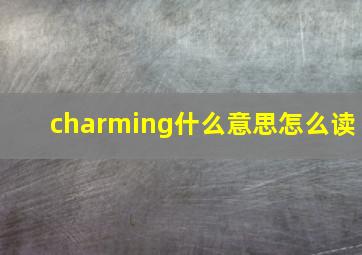 charming什么意思怎么读