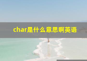 char是什么意思啊英语