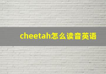 cheetah怎么读音英语