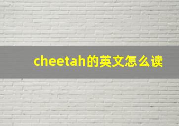 cheetah的英文怎么读