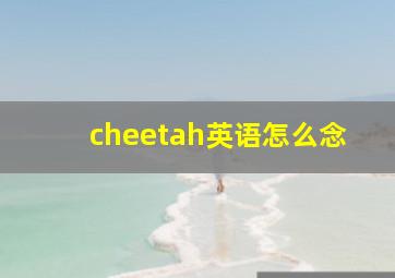 cheetah英语怎么念