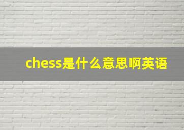 chess是什么意思啊英语