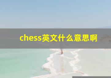 chess英文什么意思啊