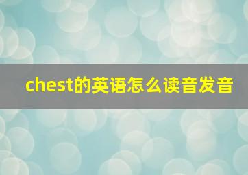 chest的英语怎么读音发音