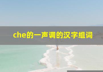 che的一声调的汉字组词