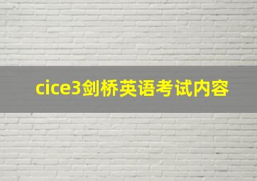 cice3剑桥英语考试内容