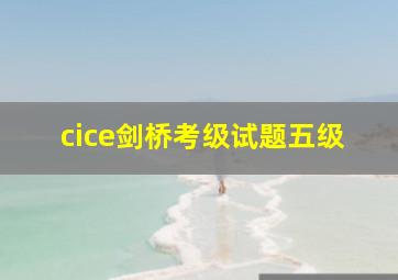 cice剑桥考级试题五级