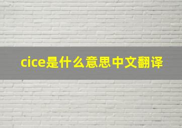 cice是什么意思中文翻译