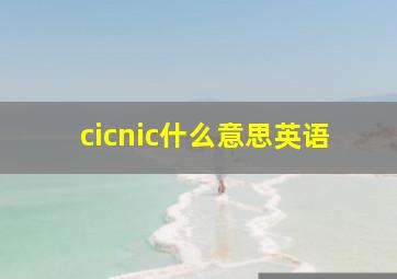 cicnic什么意思英语