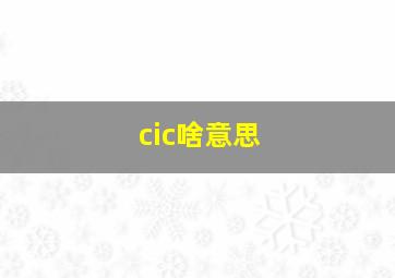 cic啥意思