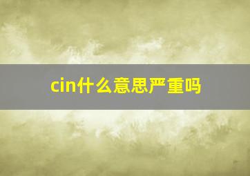 cin什么意思严重吗