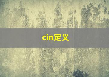 cin定义