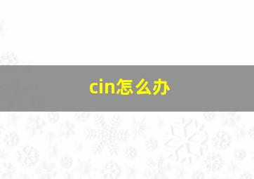 cin怎么办