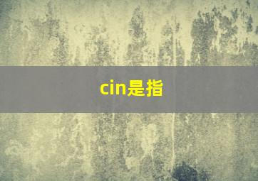 cin是指