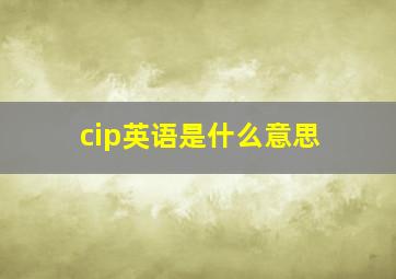 cip英语是什么意思