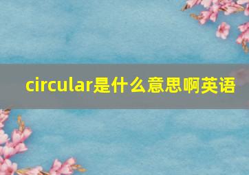 circular是什么意思啊英语