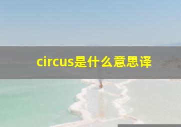 circus是什么意思译