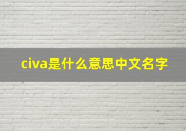 civa是什么意思中文名字