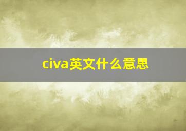 civa英文什么意思