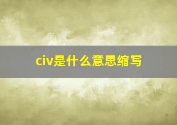 civ是什么意思缩写