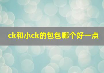 ck和小ck的包包哪个好一点