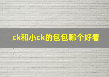 ck和小ck的包包哪个好看