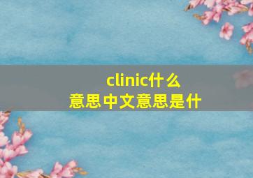 clinic什么意思中文意思是什