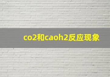 co2和caoh2反应现象