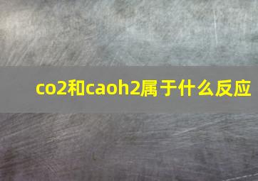 co2和caoh2属于什么反应