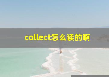 collect怎么读的啊