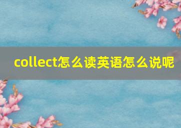 collect怎么读英语怎么说呢