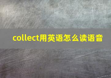 collect用英语怎么读语音